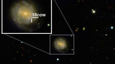 A mysterious cosmic flare, 'the cow' might just be the birth of a black hole