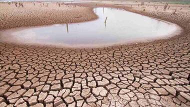 High-alert called for drought in West, Southern states after pre-monsoon rains fail
