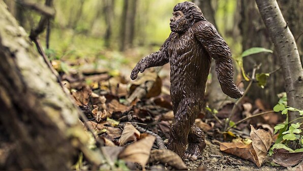 Adaption of microbes living in our gut helped early humans survive in new areas