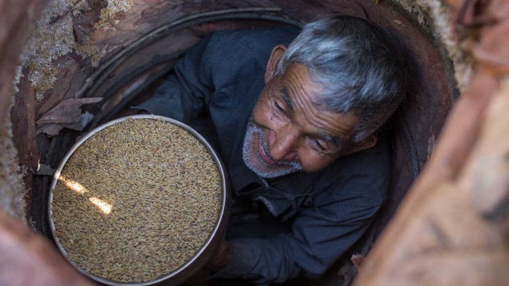 Image by Nabin Baral