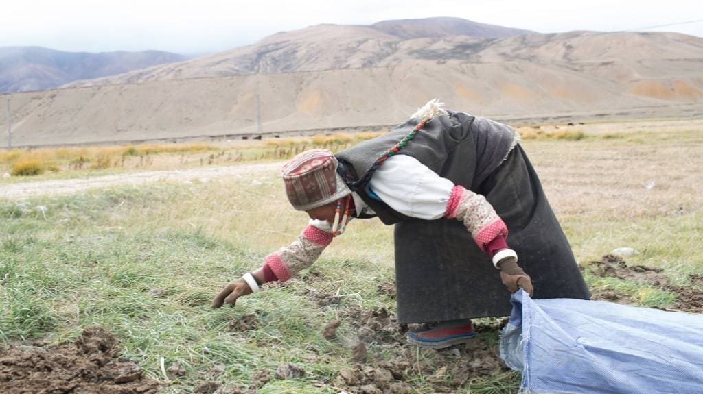 Image by Nabin Baral