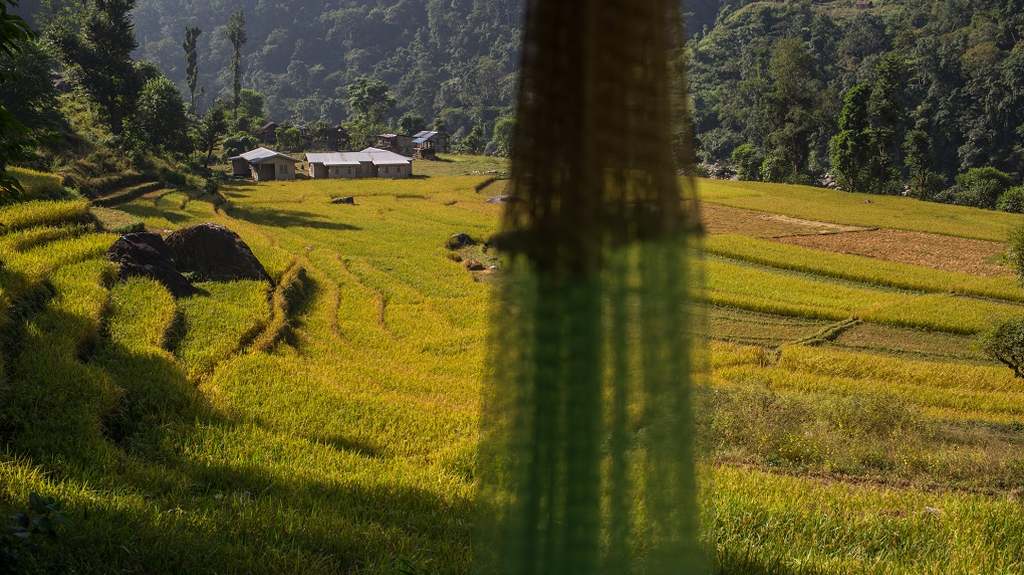 Image by Nabin Baral