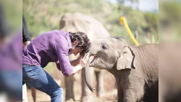 Vidyut Jammwal’s special friend - a baby elephant, Moonbeam