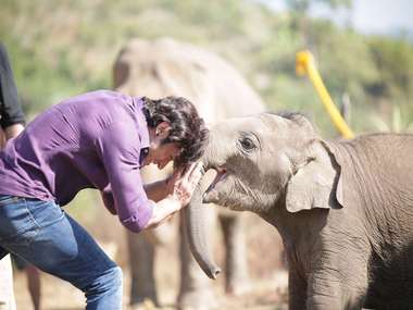 Vidyut Jammwal’s special friend - a baby elephant, Moonbeam Vidyut Jammwal’s special friend - a baby elephant, Moonbeam