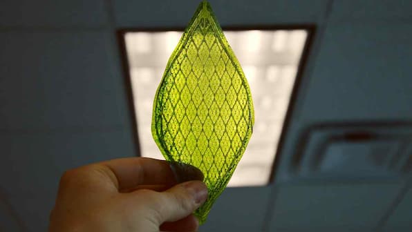 New design for artificial leaf absorbs 10 times more CO2 than natural leaves