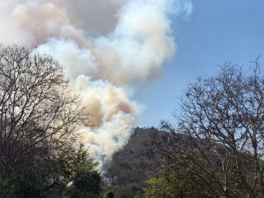 Representational image. Image courtesy: 101Reporters