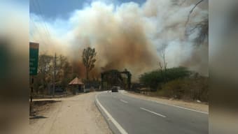 Fire in Karnataka's Bandipur reserve that destroyed acres of forestland has been contained, say activists