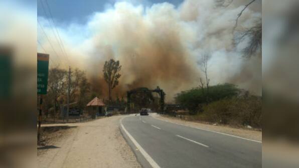Fire in Karnataka's Bandipur reserve that destroyed acres of forestland has been contained, say activists