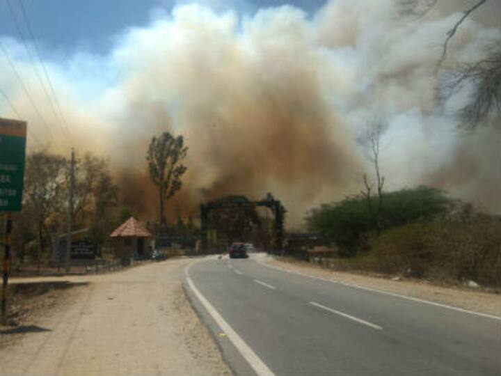 Fire in Karnataka's Bandipur reserve that destroyed acres of forestland has been contained, say activists Fire in Karnataka's Bandipur reserve that destroyed acres of forestland has been contained, say activists