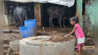 The muck stops here: Bhadreswar, a small town in West Bengal, is remarkable for nothing except its filth