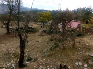 Migration in Uttarakhand: As crisis plagues hill state, govt survey finds 50% villagers left gram panchayats in search of jobs Migration in Uttarakhand: As crisis plagues hill state, govt survey finds 50% villagers left gram panchayats in search of jobs