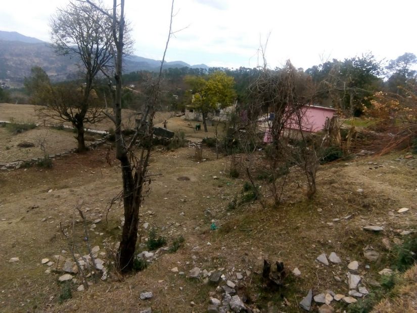 A view of the abandoned Bhatt village in Uttarakhand. Image Courtesy: Rahul Singh Sekhawat