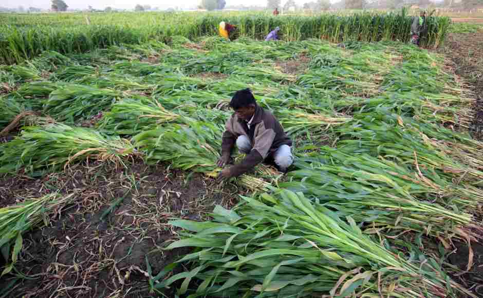 The budget promises assured income support for small and marginal farmers — called the Pradhan Mantri Kisan Samman Nidhi. It will involve direct cash transfer of Rs 6,000 in three installments directly into the bank accounts of farmers. Reuters The budget promises assured income support for small and marginal farmers — called the Pradhan Mantri Kisan Samman Nidhi. It will involve direct cash transfer of Rs 6,000 in three installments directly into the bank accounts of farmers. Reuters