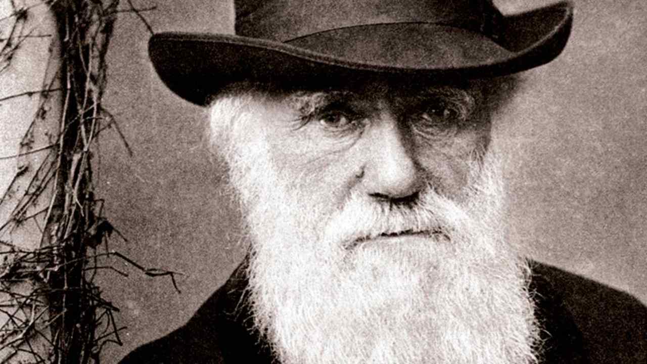 Darwin Day: things right wrong about Darwins -year-old Theory of  Evolution-Tech News , Firstpost