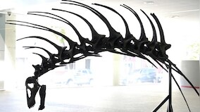 Plant-eating dinosaur that used its spiny back to fight off predators unearthed