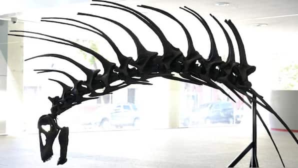 Fossil hunter trying to sell baby T-Rex skeleton on eBay, paleontologists are pissed off