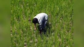 Rs 6,000 cash sop to farmers may swing votes for BJP govt but no 'Modi wave' for 2019 polls, finds report