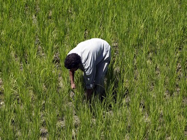 'Govt luring farmers with peanuts': Union Budget allocation gets lukewarm response from agrarian sector