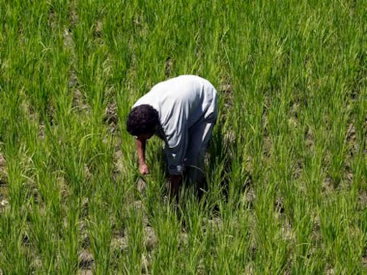 Rs 6,000 cash sop to farmers may swing votes for BJP govt but no 'Modi wave' for 2019 polls, finds report