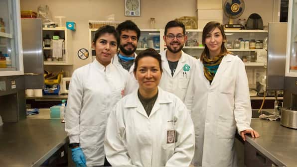 Scientist finds cure for HPV infection, cervical cancer after 20 years of trying