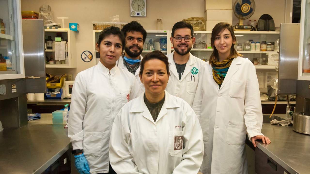 Scientist finds cure for HPV infection, cervical cancer after 20 years of trying Scientist finds cure for HPV infection, cervical cancer after 20 years of trying