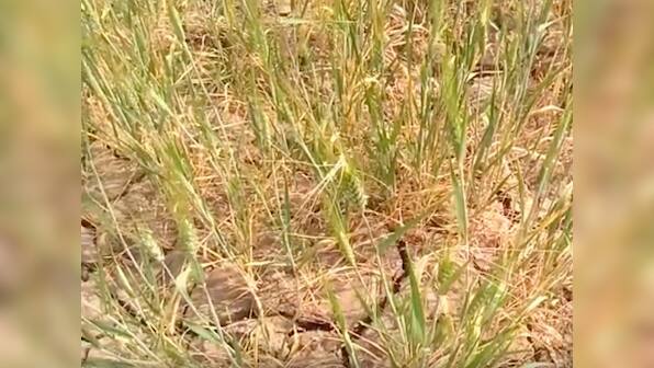 Declining ground water levels add to the woes of farmers in this UP village