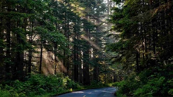 Earth Day 2019: To solve the climate change crisis, we need a Global Deal for Nature
