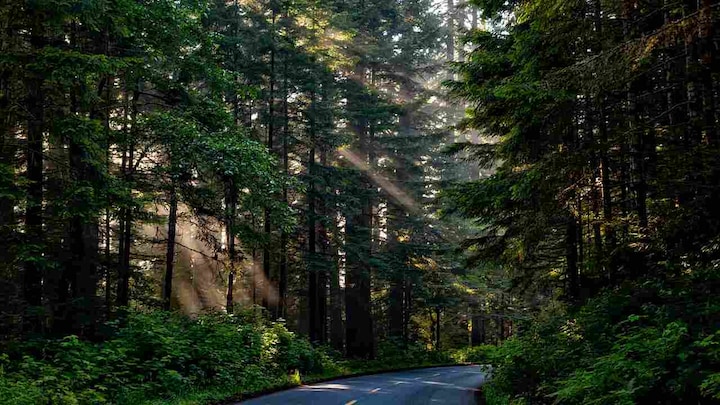 Firstpost Image