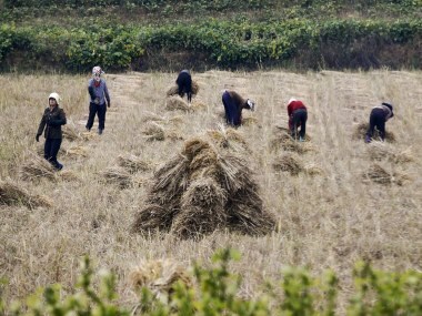 North Korea facing 1.4 million tonne food shortfall, asks United Nations to help address looming crisis