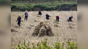 North Korea facing 1.4 million tonne food shortfall, asks United Nations to help address looming crisis