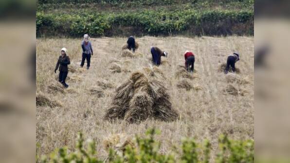 North Korea facing 1.4 million tonne food shortfall, asks United Nations to help address looming crisis