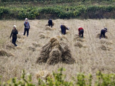 North Korea facing 1.4 million tonne food shortfall, asks United Nations to help address looming crisis North Korea facing 1.4 million tonne food shortfall, asks United Nations to help address looming crisis