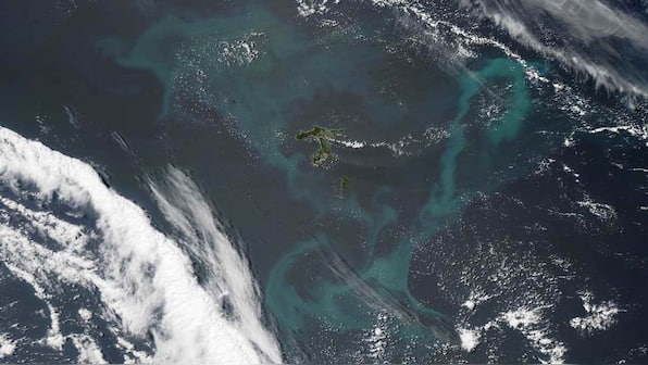 Oceans to get bluer and greener due to rising temperatures from climate change