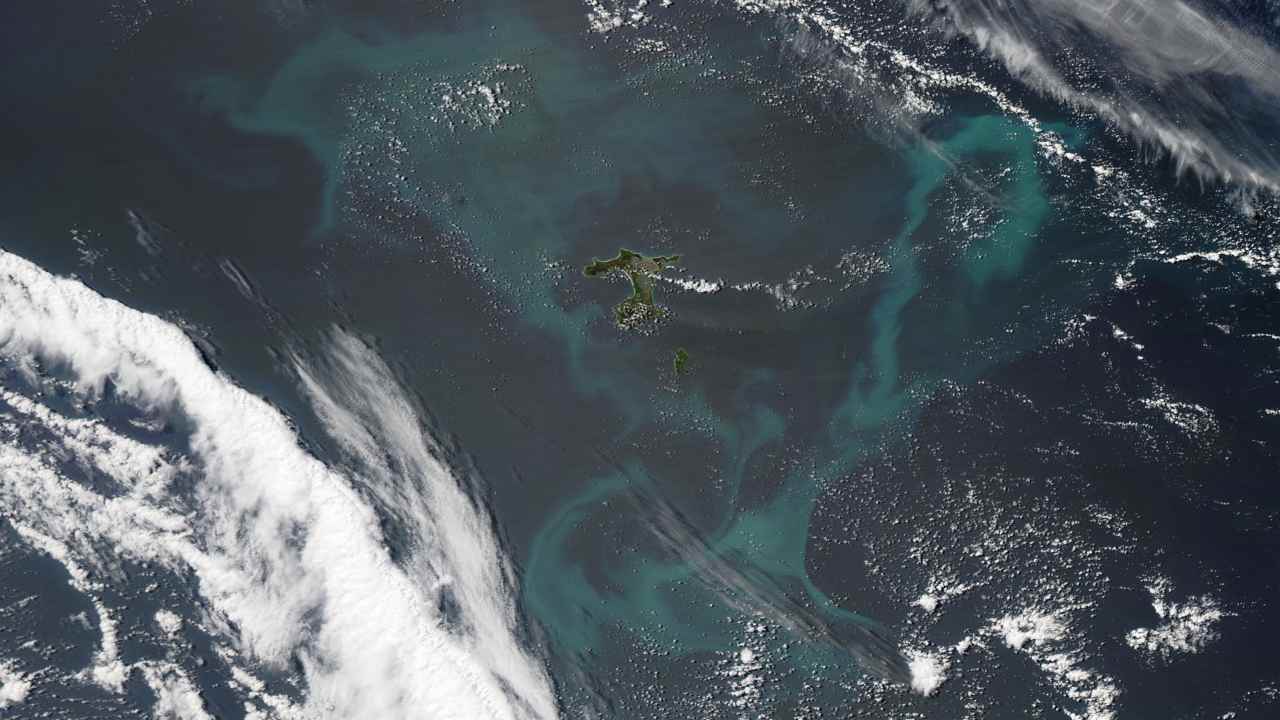 Oceans to get bluer and greener due to rising temperatures from climate change Oceans to get bluer and greener due to rising temperatures from climate change