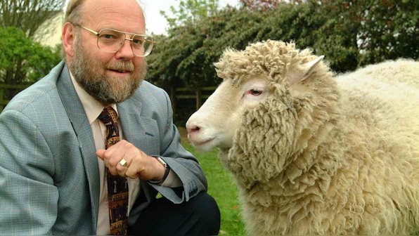 22 years since Dolly the first cloned sheep, here's how her legacy has come along