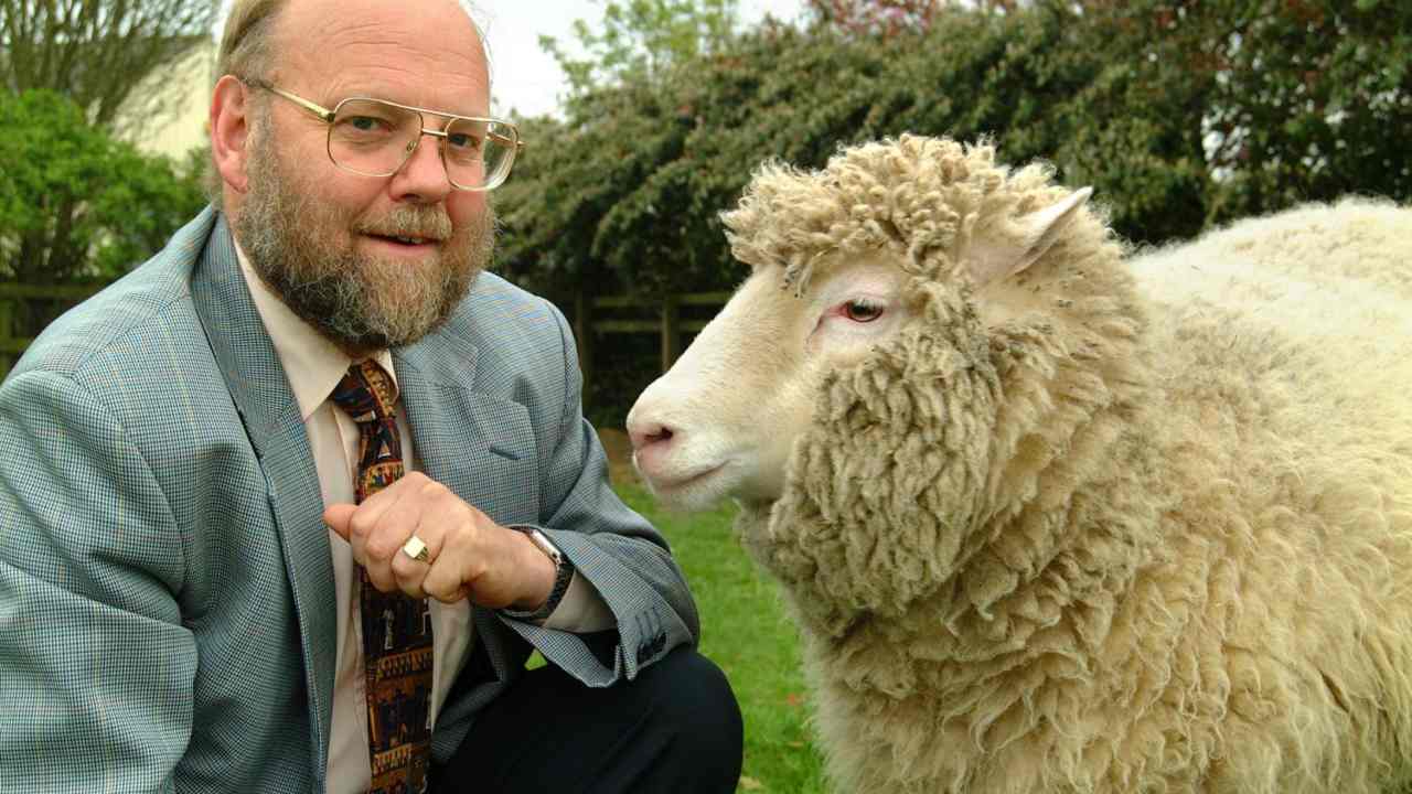 Professor Ian Wilmut stands beside Dolly the Sheep, who he helped clone. Image courtesy: The Roslin Institute