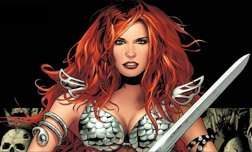 Many called for a female filmmaker to tackle Red Sonja given the subject matter and character, especially in the wake of the success of Wonder Woman, which was steered by Patty Jenkins. Source: Twitter