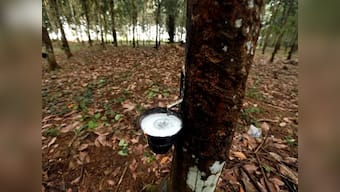 India starts probe into alleged exports subsidisation of rubber by South Korea
