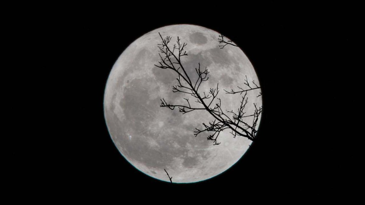 Super Snow Moon in India on 19 Feb: When and where to watch the lunar spectacle