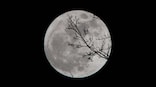 Super Snow Moon in India on 19 Feb: When and where to watch the lunar spectacle