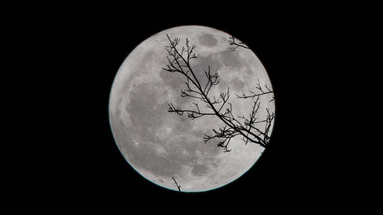 Super Snow Moon in India on 19 Feb: When and where to watch the lunar spectacle Super Snow Moon in India on 19 Feb: When and where to watch the lunar spectacle