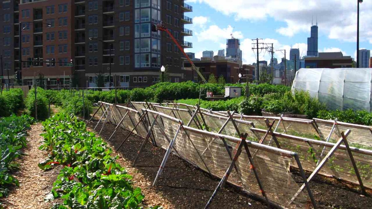 Faster Delivery For Fresher Urban Farming Produce