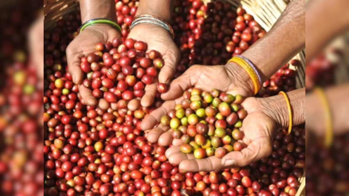 Araku coffee, a brand from the Eastern Ghats that won acclaim in France, is making its way home