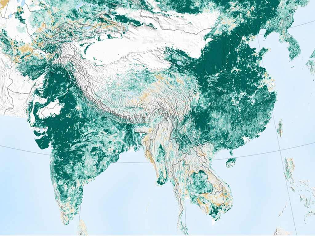 Data from NASA satellites shows that China and India are leading the increase in greening on land. The effect stems mainly from ambitious tree planting programs in China and intensive agriculture in both countries. 