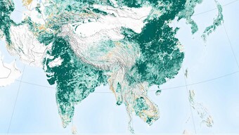 India, China have made the world a greener place than it was 20 years ago: NASA