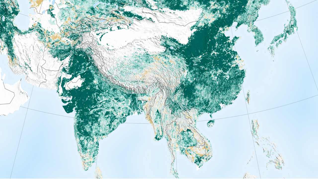 India, China have made the world a greener place than it was 20 years ago: NASA India, China have made the world a greener place than it was 20 years ago: NASA