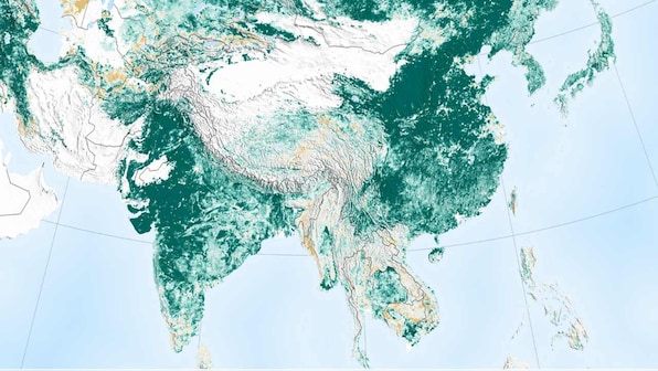 India, China have made the world a greener place than it was 20 years ago: NASA