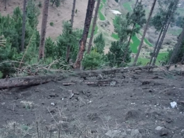 Pakistan files FIR against 'unidentified IAF pilots' for bombing and destroying 19 trees in Balakot, says report Pakistan files FIR against 'unidentified IAF pilots' for bombing and destroying 19 trees in Balakot, says report