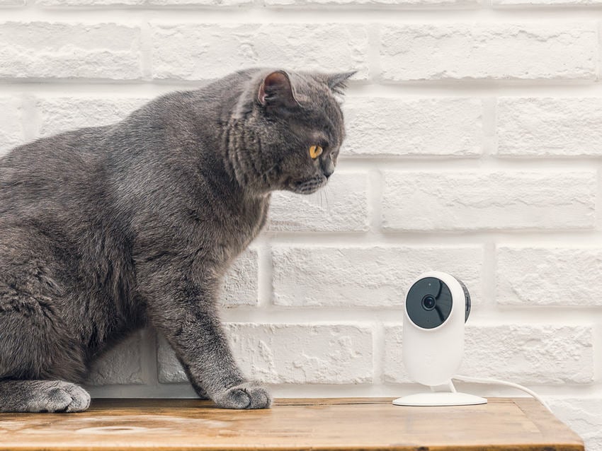The Mi Home Security Camera Basic feature AI motion detection, dual-band WiFi intelligent detection
