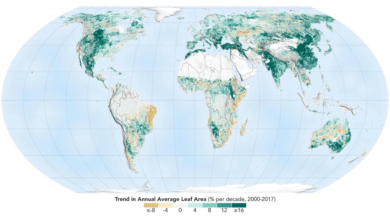 The world is a greener place than it was 20 years ago, as shown on this map. Credits: NASA Earth Observatory